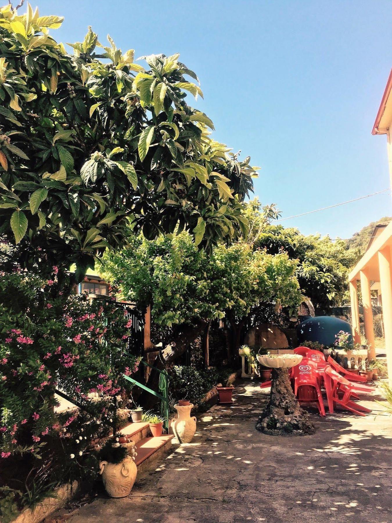 Albergo La Mimosa Lamezia Terme Exterior foto